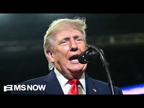 'Donald Trump hates expertise': Dem strategist