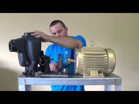 Woods and BoWex Replacement