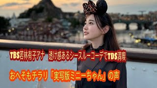 TBS若林有子アナ　透け感あるシースルーコーデでTDS満喫　おへそもチラリ「実写版ミニーちゃん」の声