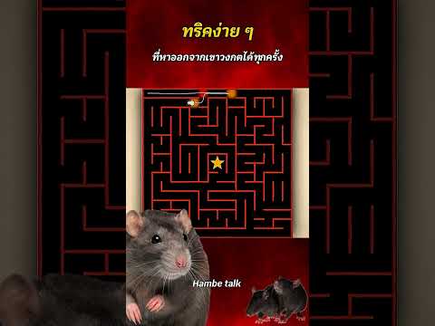 ทริคง่าย ๆ หาทางออกจากเขาวงกตได้ทุกครั้ง #shorts