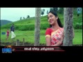 Salam Kashmir Review