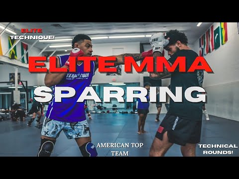 AMERICAN TOP TEAM ELITE MMA SPARRING #boxing #muaythai #mma #kickboxing #bjj #sparring