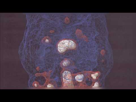 Video thumbnail for Transitory