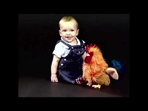 Jordan’s Sound Effects Compilation No.185:Sound Ideas, BIRD, ROOSTER - MORNING CALL, ANIMAL Part 1