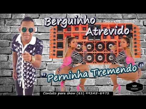 BERGUINHO ATREVIDO - PERNINHA TREMENDO ((MÚSICA NOVA))