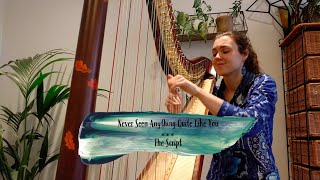 Never Seen Anything Quite Like You - The Script (harp cover)