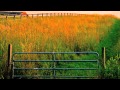 Grazing in the Grass by Hugh Masekela \ Video by Chris Burke