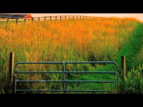 Grazing in the Grass by Hugh Masekela  Video by Chris Burke