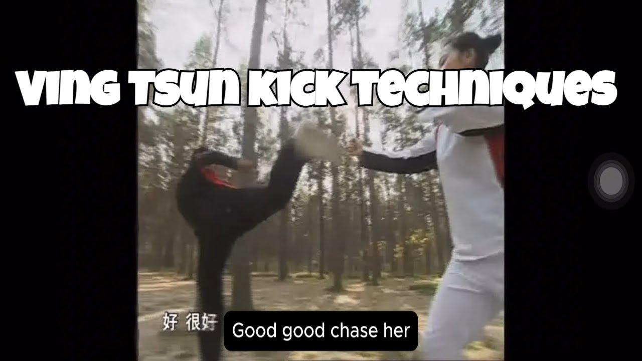  Kick techniques