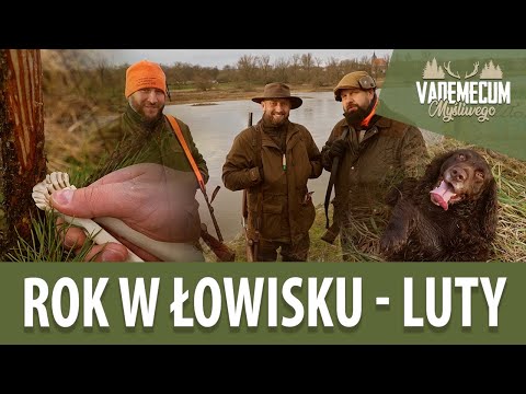 # 156 ROK W ŁOWISKU - LUTY