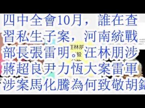 四中全会10月，谁在查习私生子案，河南统战部长张雷明。汪林朋涉蒋超良，尹力，恒大案，走了，雷军涉案。马化腾为何播放《北京欢迎你》，致敬胡锦涛