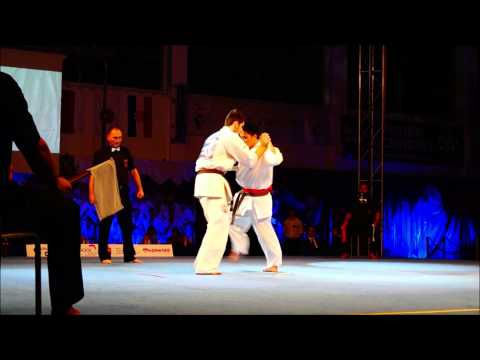 Kazuya Yamamoto (Japan) vs Marek Wolny (Poland) - Kokoro CUP VII - 2013