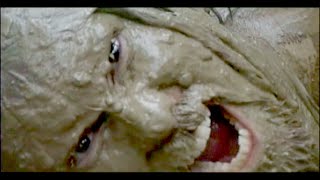 Disbelief - &quot;To The Sky&quot;