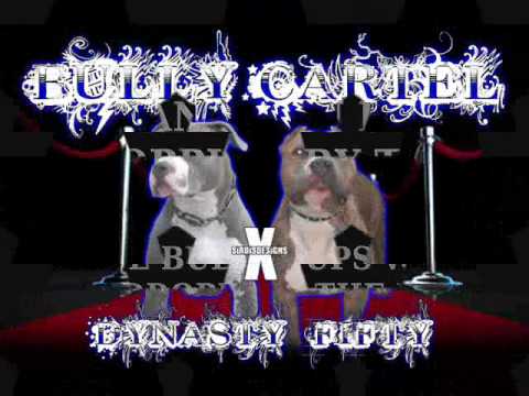 Bully Cartel Promotion
