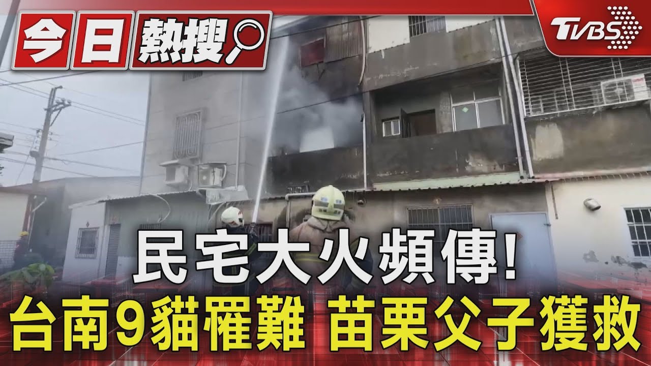 嚇人！周日中午2民宅大火　台南9隻貓葬身火窟 苗栗父子獲救