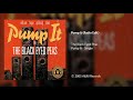 The Black Eyed Peas Pump It Radio Edit