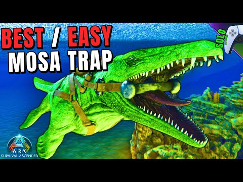 Best and Easiest Mosa Trap?