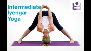 Lateral Poses - Standing Poses for an Intermediate Yoga Practice