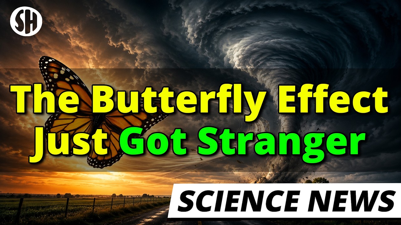 This New Result Changes What We Know About The Butterfly Effect