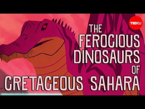 【TED-Ed】The ferocious predatory dinosaurs of Cretaceous Sahara - Nizar Ibrahim
