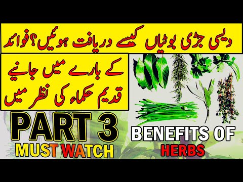 What are Herbs? Herbs Benefits (Part 3) | Urdu/Hindi | Dar ul Hikmat Urdu | DUH