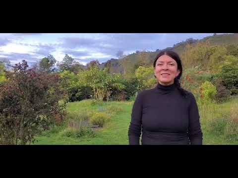 Documental "La Ilusión de la Abundancia"