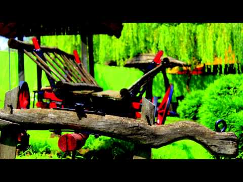 Michael Ionescu- Scurta prezentare, Comuna Padureni ,Judetul Vaslui