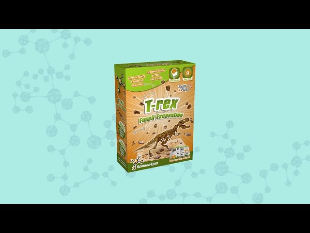 Vídeo relacionado con Science4you T Rex Excavaciones Fósiles para Niños 6+ Años - Juegos y Juguetes de Dinosaurios y Fosiles T-Rex, Excava y Encuentra 10 Fosiles Dinosaurios Kit - Regalos para Niñas y Niños 6 7 8+ Años