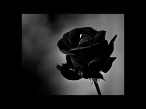 Huszi RFS - Czarna róża ft. KaMraD