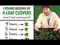How To Find A Four Leaf Clover