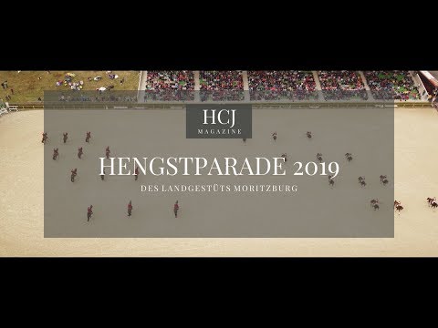 Die Hengstparade des Landgestüts Moritzburg 2019