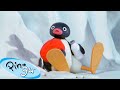 Pingu Gets Lost Pingu Official Channel Cartoons For Kids