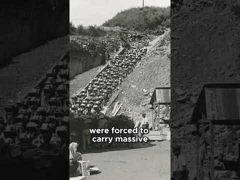 What Was the Significance of the Stairs of Death in Mauthausen's Infamous Torture? #history #wwii