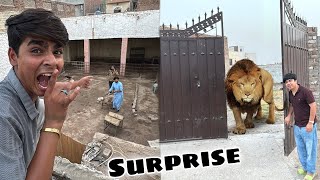 Download lagu lion Rakhna Ka Lea New Zoo Ly Lea 😍 Subhan Ko Aik Mission Pr Bhaja 😮 mp3