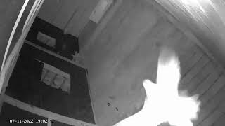 Download lagu ternyata sp PJW lebih ngeri anakan lngsung kesedot👍 mp3