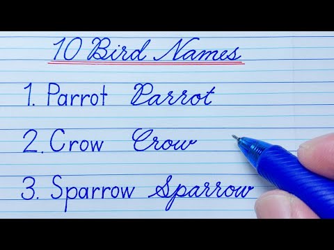 Cursive Writing Names