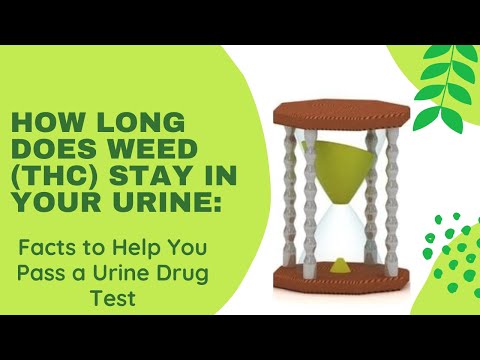 How Long Does Weed (THC) Stay in Your Urine: Facts to...