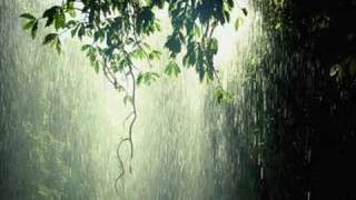Rain Drops--Stunt