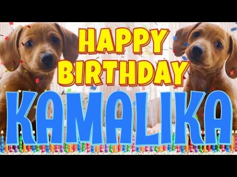 Happy Birthday Kamalika! ( Funny Talking Dogs ) What Is Free On My Birthday