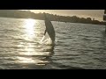 Rowing with Dolphins in Florida