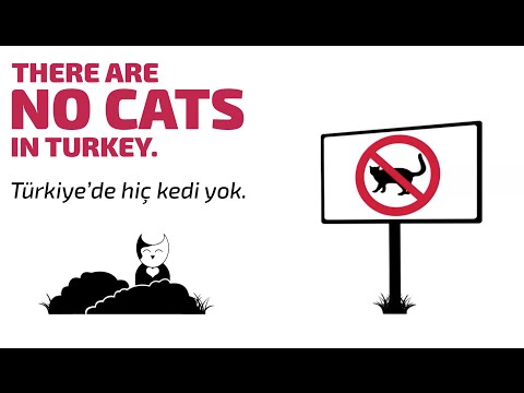 Hands On Turkish