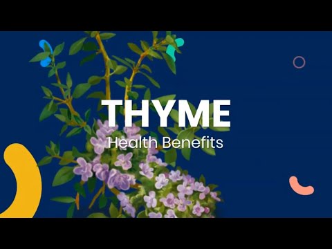 , title : 'THYME BENEFITS: Top 10 health benefits of Thyme Tea and Thyme Essential Oil