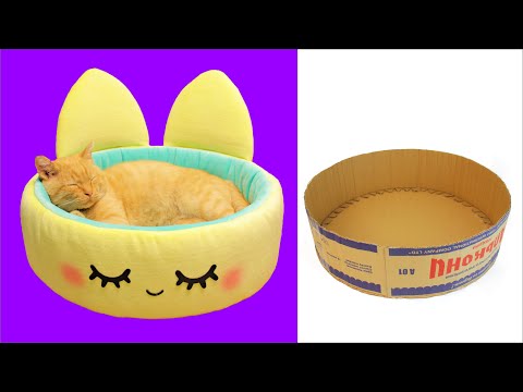 DIY CAT BED from cardbord BOX easy / How to make cat happy