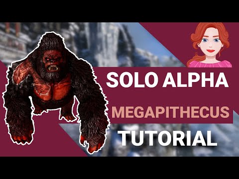 SOLO Alpha Megapithecus Tutorial - Keine Tricks, kein Clickbait!