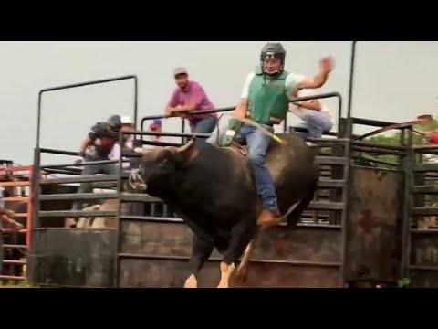 Paulo Eduardo Rosseto Treino