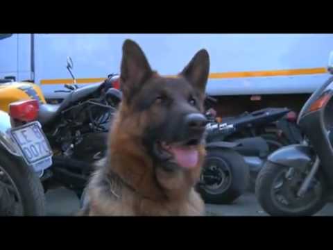 Sigla Squadra Molto Speciale