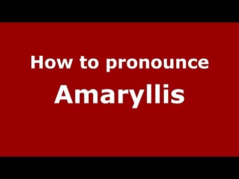 How to pronounce Amaryllis