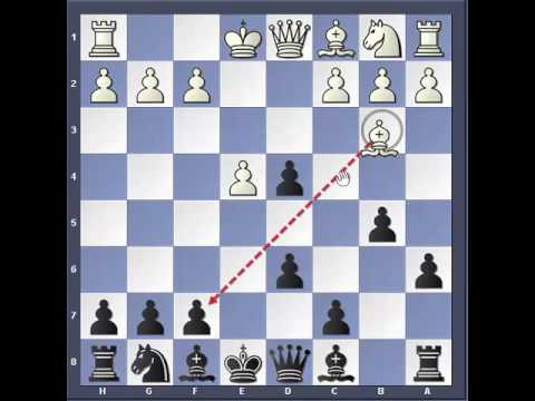 Trappole in Apertura 11 -  La Difesa Spagnola 2