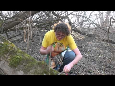 SHEBEN GRILLS (3): Ogień