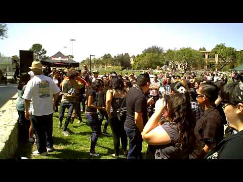 Gamblers Mark-Rude Boy